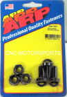 230-7301 Arp Torque Converter Bolt