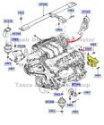 Coa-20504 Coan Engineering Hi Performance