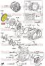 Fn11-19-020a Mazda New Oem Automatic Transmission Torque Converter Drive Plate Protege