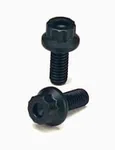 Arp 244-1001 Cam Bolts. Fixed Price $5.99.