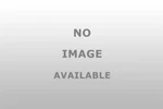 Bm 400001 Auto Trans Torque Converter. Fixed Price $304.43.