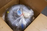TH400 3L80 H.d. Gm Torque Converter ; M998 TH350 TH425 8656942 8629917. Fixed Price $175.00.