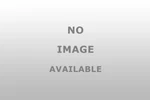 Dorman 600805 Transfer Case Motor For Excursion 2000-2003. Fixed Price $159.99.